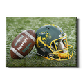 North Dakota State Bisons - Harvest Helmet - College Wall Art #Canvas