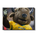North Dakota State Bisons - Thundar Three Fingers - College Wall Art #Canvas