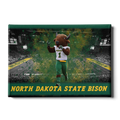 North Dakota State Bison - Thundar's North Dakota State Bison - College Wall Art #Canvas