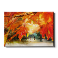 Ole Miss Rebels - Autumn Walk of Champions - College Wall Art #Canvas