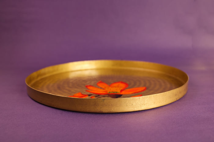 Palash Pital Dip and Serve Set 13"