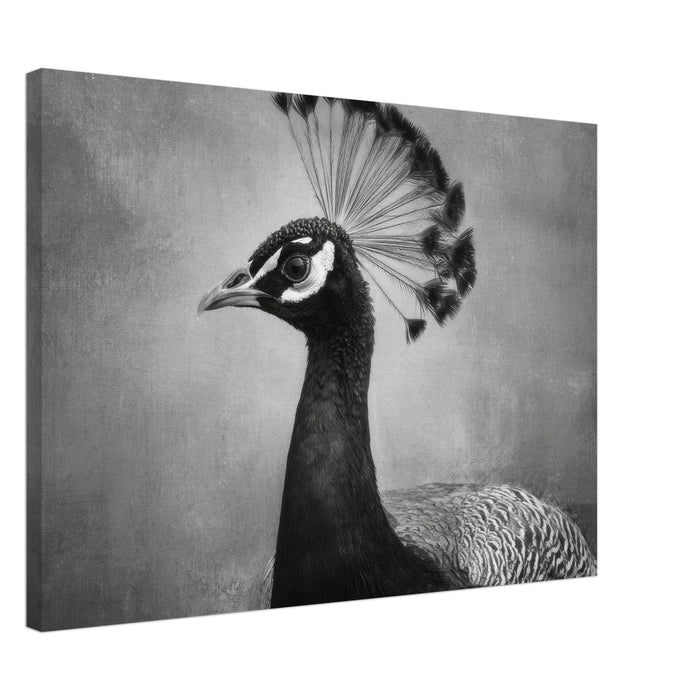 Peacock Front 2 - Shop Ai Art WebShop - Digital Art online Store