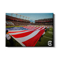 South Carolina Gamecocks - Made in America - College Wall Art #Canvas