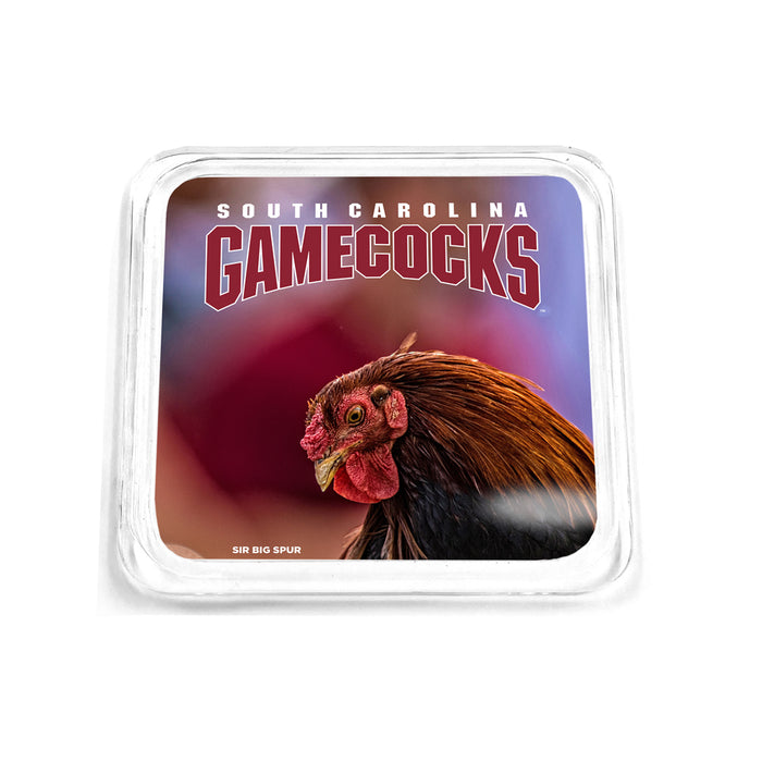 South Carolina Gamecocks - Sir Big Spur Drink Coaster