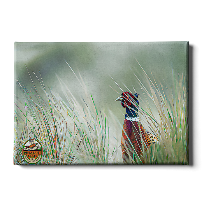 South Dakota State Jackrabbits - Pheasant State Oil Painting - College Wall Art #Canvas