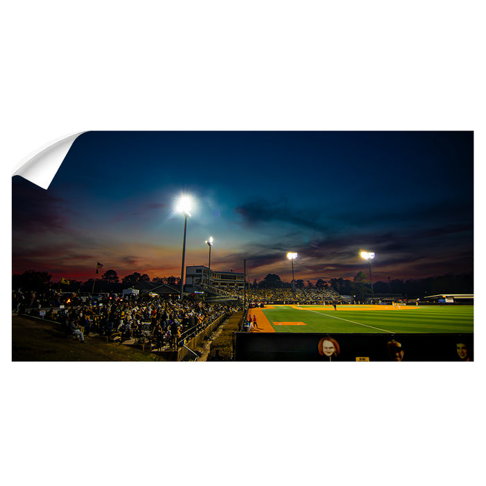 Southern Miss Golden Eagles - Pete Taylor Park Sunset Panoramic - College Wall Art #Wall Murals