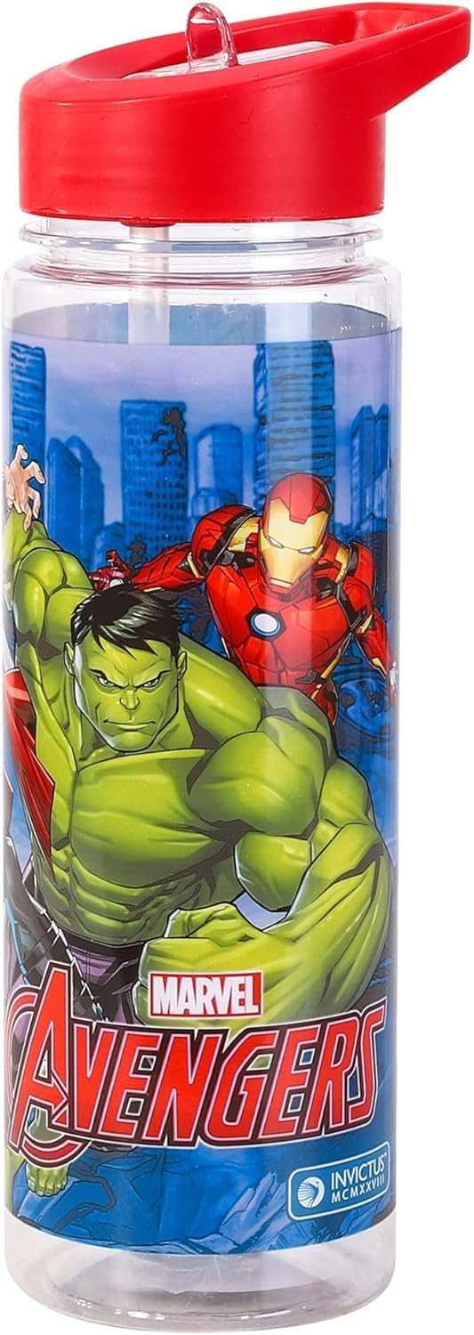 TDL Avengers Water Bottle 650ml