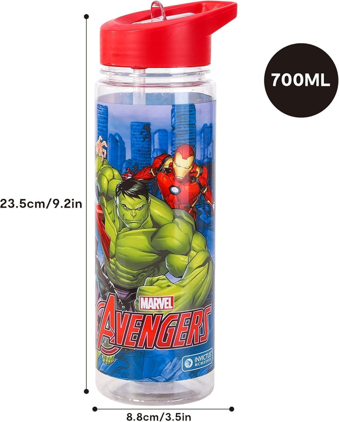 TDL Avengers Water Bottle 650ml