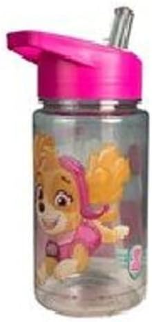 TDL Character Water Bottle 450ml – Choose Design