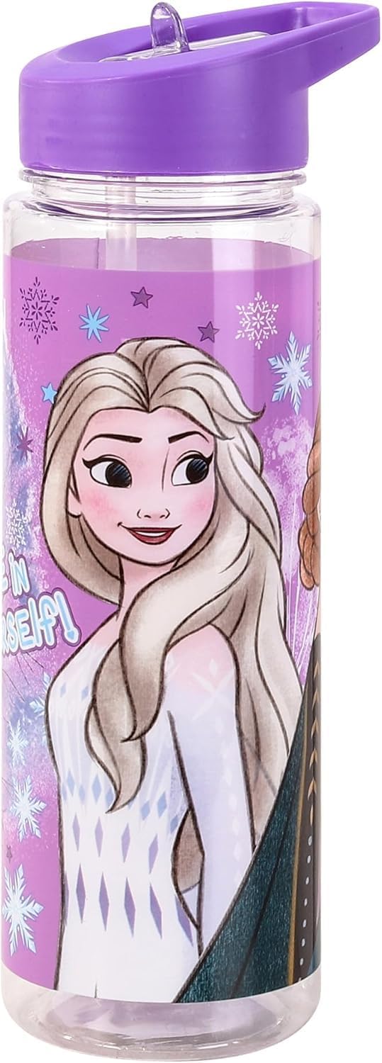 TDL Frozen Water Bottle 650ml
