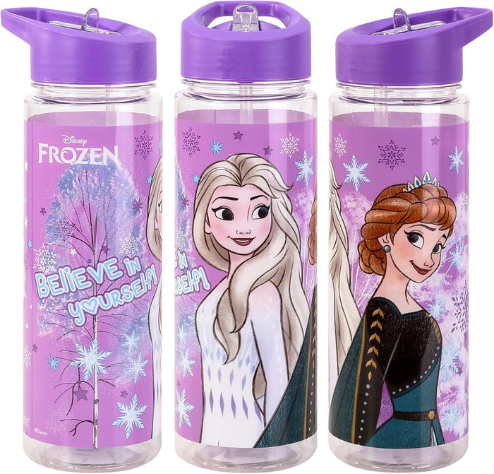 TDL Frozen Water Bottle 650ml