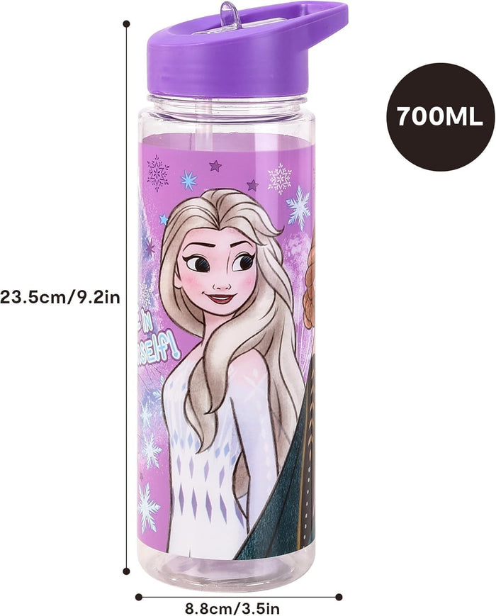 TDL Frozen Water Bottle 650ml