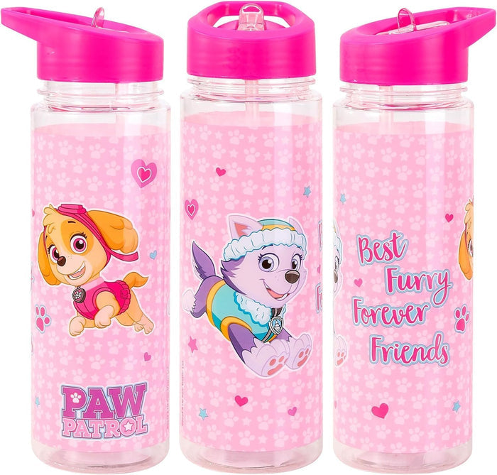 TDL Paw Patrol Skye Water Bottle 650ml