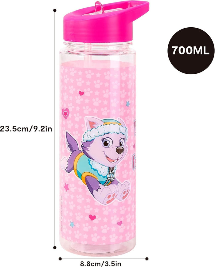 TDL Paw Patrol Skye Water Bottle 650ml
