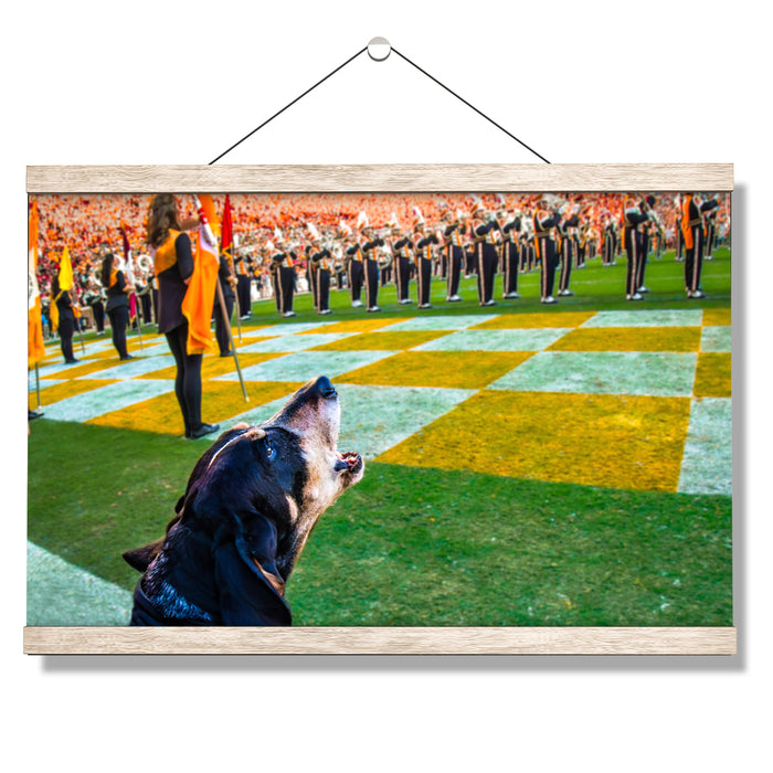 Tennessee Volunteers - Smokey X - College Wall Art #Hanging Canvas