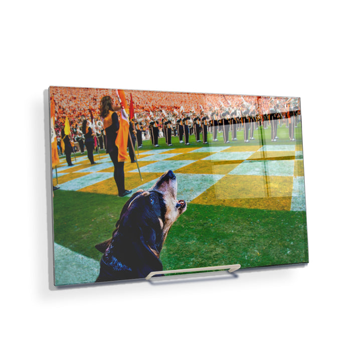 Tennessee Volunteers - Smokey X - College Wall Art #Acrylic Mini