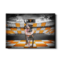 Tennessee Volunteers - Smokey's Backyard - College Wall Art #Canvas
