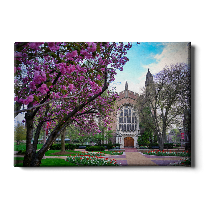 Washington University Bears - Cherry Blossoms - College Wall Art #Canvas