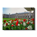 Washington University Bears - Spring Campus - College Wall Art #Canvas