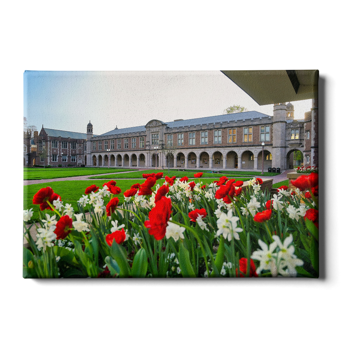 Washington University Bears - Spring Campus - College Wall Art #Canvas
