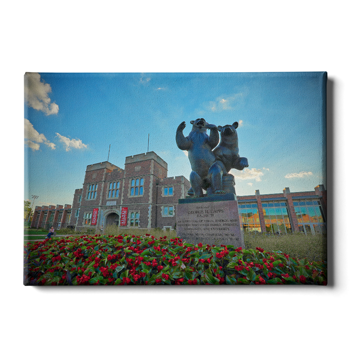 Washington University Bears - Summers Rec - College Wall Art #Canvas