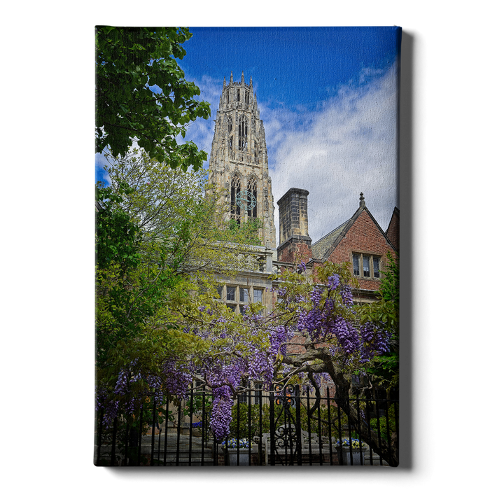 Yale Bulldogs - Springtime Harkness Tower - College Wall Art #Canvas
