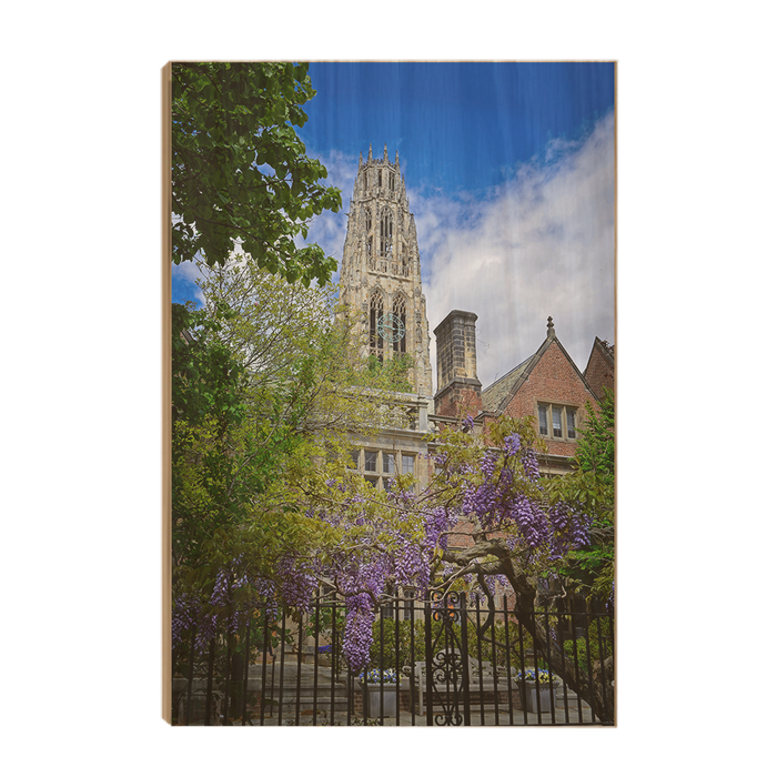 Yale Bulldogs - Springtime Harkness Tower - College Wall Art #Wood