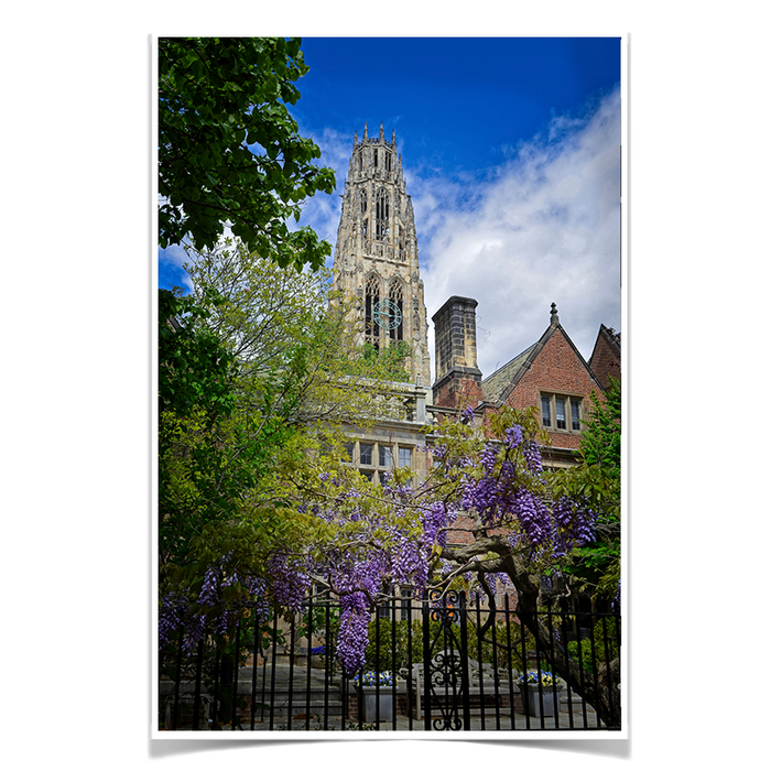 Yale Bulldogs - Springtime Harkness Tower - College Wall Art #Poster