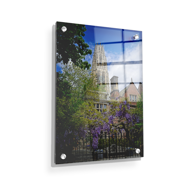 Yale Bulldogs - Springtime Harkness Tower - College Wall Art #Acrylic