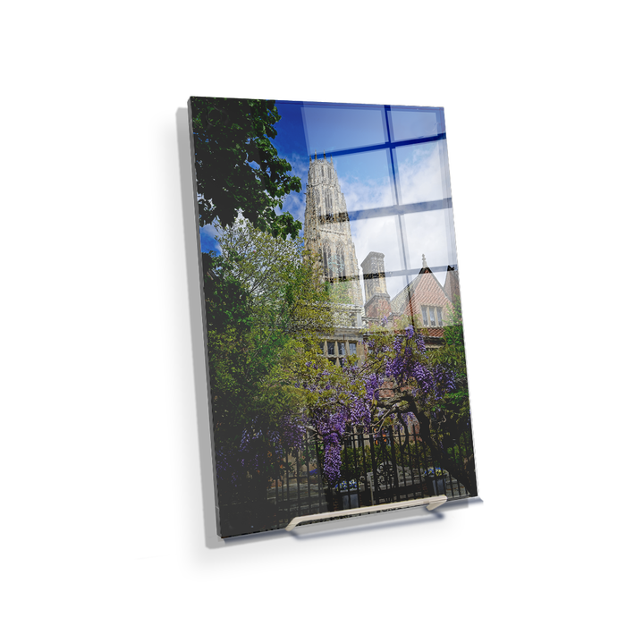 Yale Bulldogs - Springtime Harkness Tower - College Wall Art #Acrylic Mini